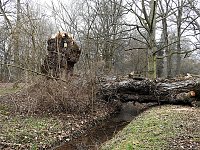 Bild: Interessanter Rundgang im Stadtpark