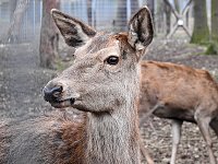 Bild: Interessanter Rundgang im Stadtpark