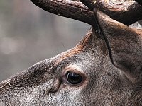 Bild: Interessanter Rundgang im Stadtpark