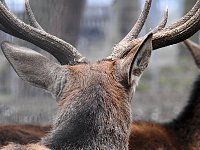 Bild: Interessanter Rundgang im Stadtpark