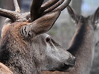 Bild: Interessanter Rundgang im Stadtpark