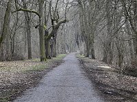 Bild: Interessanter Rundgang im Stadtpark