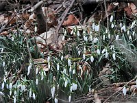 Bild: Interessanter Rundgang im Stadtpark