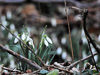 Bild: Interessanter Rundgang im Stadtpark