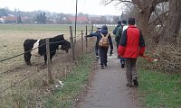 Bild: 29. S&uuml;dharz-Hunderter