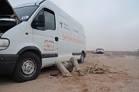 Bild: Von Nordhausen nach Gambia - die "Nordh&auml;user W&uuml;stenf&uuml;chse" unterwegs
