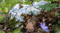 Bild: Fotoworkshop-Wochenende auf dem Karstwanderweg