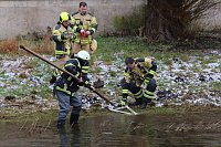 Bild: Aus der Zorge gefischt