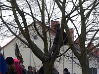 Bild: Bilder eines Samstagnachmittags