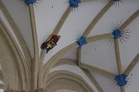 Bild: Sanierungsarbeiten im Dom zum Heiligen Kreuz