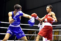 Tolle Leistung der NSV-Boxer Bild: Tolle Leistung der NSV-Boxer