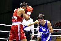 Tolle Leistung der NSV-Boxer Bild: Tolle Leistung der NSV-Boxer