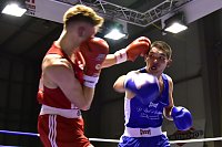 Tolle Leistung der NSV-Boxer Bild: Tolle Leistung der NSV-Boxer