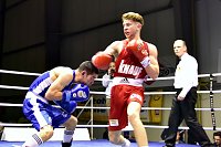 Tolle Leistung der NSV-Boxer Bild: Tolle Leistung der NSV-Boxer