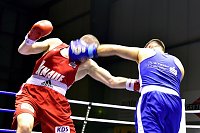 Tolle Leistung der NSV-Boxer Bild: Tolle Leistung der NSV-Boxer