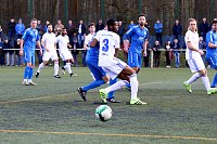 Wacker gewinnt 6:1 gegen Luckenwalde Bild: Wacker gewinnt 6:1 gegen Luckenwalde