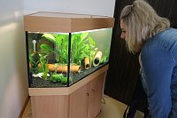 Bild: Startschuss f&uuml;r die "Gartenkinder", Bleicherodes neuer Kindergarten wurde offiziell &uuml;bergeben