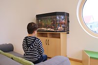 Bild: Startschuss f&uuml;r die "Gartenkinder", Bleicherodes neuer Kindergarten wurde offiziell &uuml;bergeben