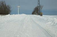 Und jährlich grüßt das Murmeltier! Bild: Und jährlich grüßt das Murmeltier!