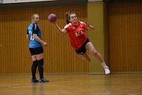 Bild: Bilder vom Handballwochenende
