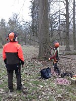 Bild: Auf die B&auml;ume - im Park Hohenrode