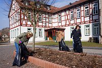 Harztor putzt Bild: Harztor putzt
