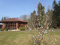 Bild: Osterbaum in S&uuml;lzhayn geschm&uuml;ckt