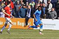 Nur ein Unentschieden gegen die U23 von Hertha BSC Bild: Nur ein Unentschieden gegen die U23 von Hertha BSC
