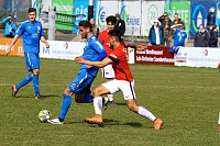 Nur ein Unentschieden gegen die U23 von Hertha BSC Bild: Nur ein Unentschieden gegen die U23 von Hertha BSC