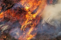Osterfeuer 2018 Bild: Osterfeuer 2018