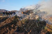 Bild: Osterfeuer Neustadt
