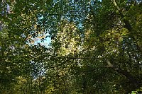 Bild: Herbst im gehege