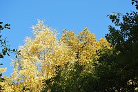 Bild: Herbst im gehege