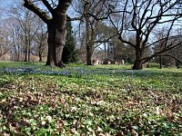 Bild: Fr&uuml;hling im Park Hohenrode
