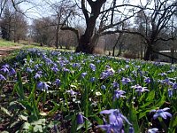 Bild: Fr&uuml;hling im Park Hohenrode