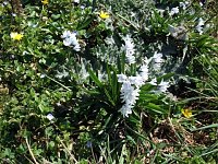 Bild: Fr&uuml;hling im Park Hohenrode