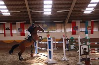 Bild: Hoffest und Reitturnier in Wollersleben