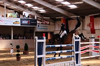 Bild: Hoffest und Reitturnier in Wollersleben