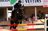 Bild: Hoffest und Reitturnier in Wollersleben