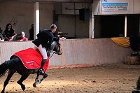 Bild: Hoffest und Reitturnier in Wollersleben