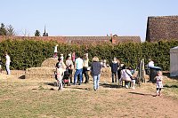 Bild: Hoffest und Reitturnier in Wollersleben