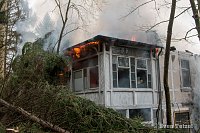 Bild: Feuer in S&uuml;lzhayn