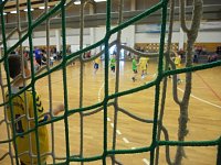 Abwechslungsreiches Handball-Wochenende Bild: Abwechslungsreiches Handball-Wochenende
