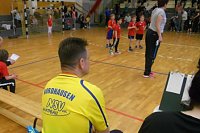 Abwechslungsreiches Handball-Wochenende Bild: Abwechslungsreiches Handball-Wochenende