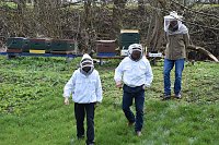 Bild: Wellness f&uuml;r die Bienen