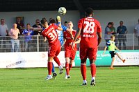 2:1 gegen Neustrelitz gewonnen Bild: 2:1 gegen Neustrelitz gewonnen