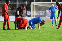 2:1 gegen Neustrelitz gewonnen Bild: 2:1 gegen Neustrelitz gewonnen