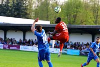 2:1 gegen Neustrelitz gewonnen Bild: 2:1 gegen Neustrelitz gewonnen