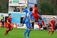 2:1 gegen Neustrelitz gewonnen Bild: 2:1 gegen Neustrelitz gewonnen
