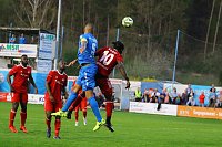 2:1 gegen Neustrelitz gewonnen Bild: 2:1 gegen Neustrelitz gewonnen